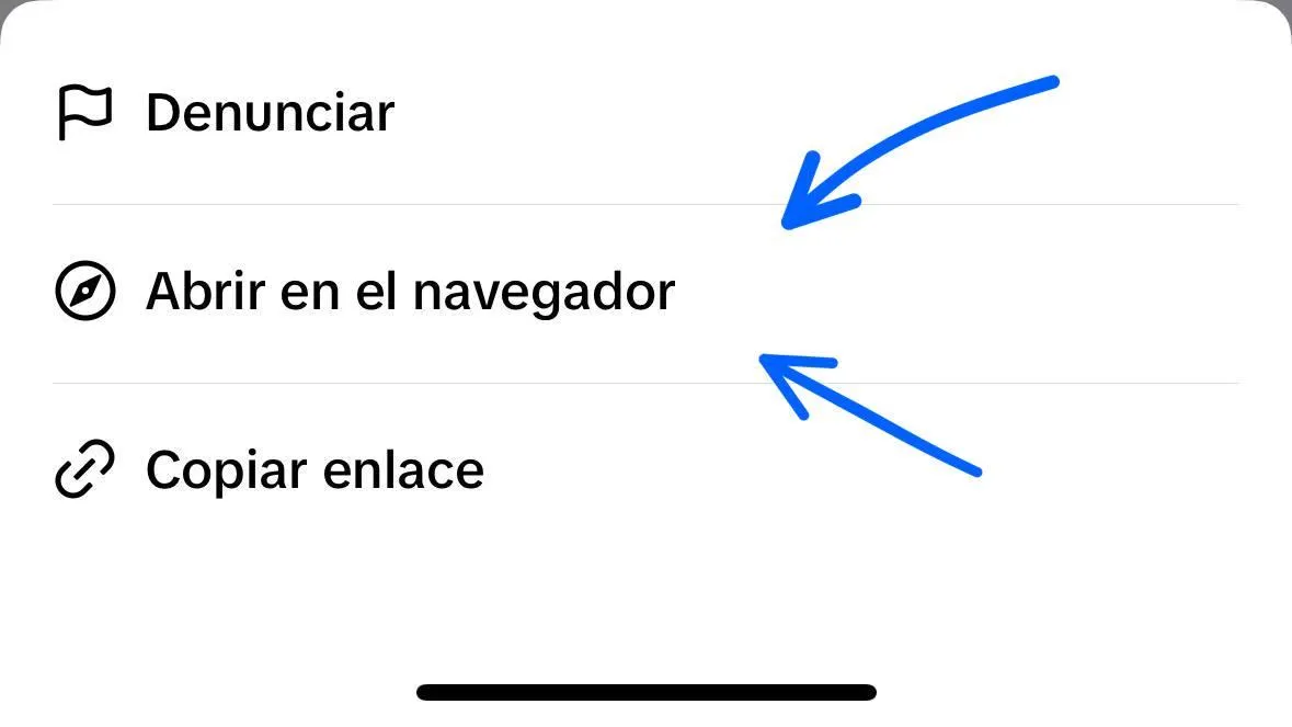 Paso 2: Abrir en navegador